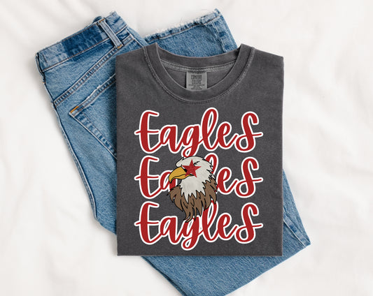 Preppy Eagles Eagles Eagles Comfort Color Long Sleeve 6014