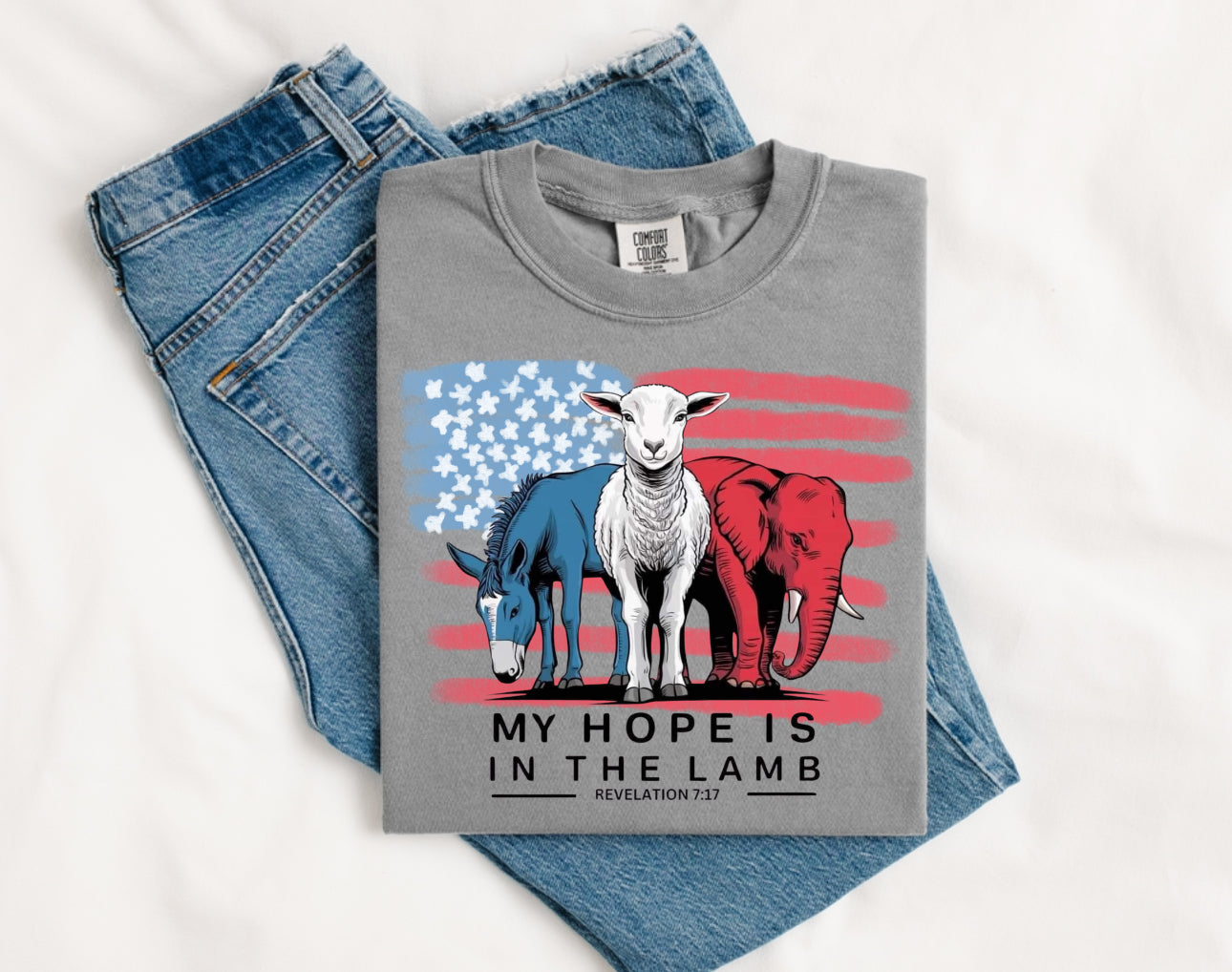 My Hope Is In The Lamb Comfort Color Short Sleeve 1717